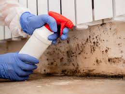 Trusted West Elmira, NY Mold Removal Services Experts